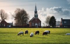 Expositie schilderijen Henk Spelberg in Kerk Klein Wetsinge